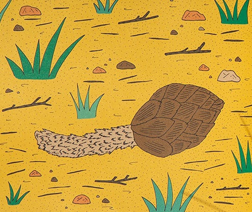 Ilustración de Veo veo, ¿qué ves?