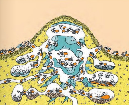 Ilustración de Veo veo, ¿qué ves?