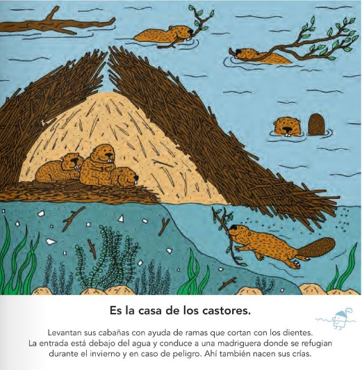 Ilustración de Veo veo, ¿qué ves?