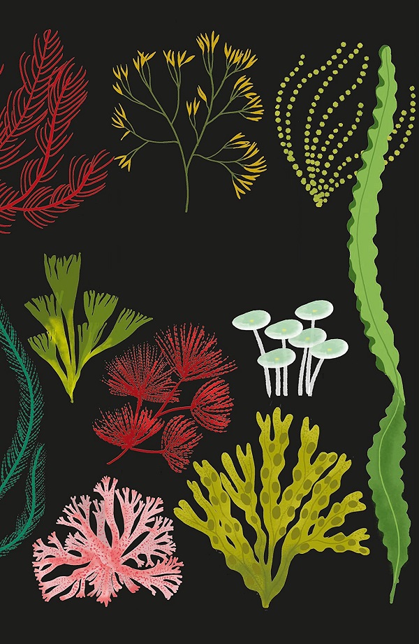 Ilustración de VEGETAL