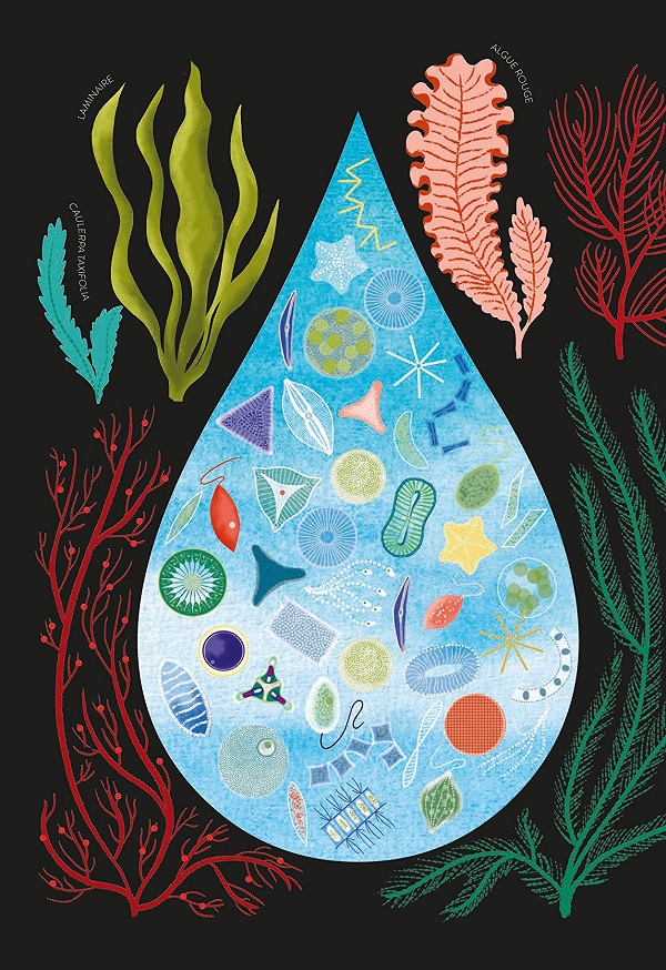 Ilustración de VEGETAL