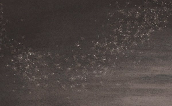 Ilustración de Donde llevan los sueños