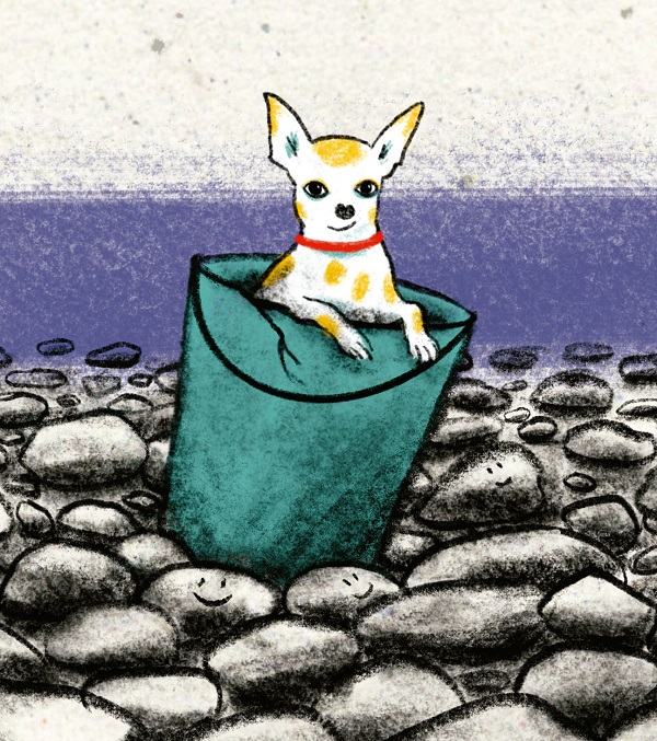 Ilustración de La compañía de Nicoleta