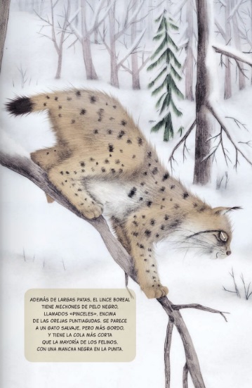 Ilustración de ANIMALITOS