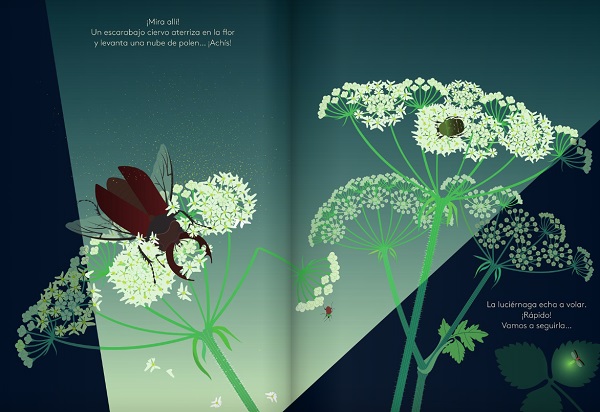 Ilustración de Una noche en el jardín