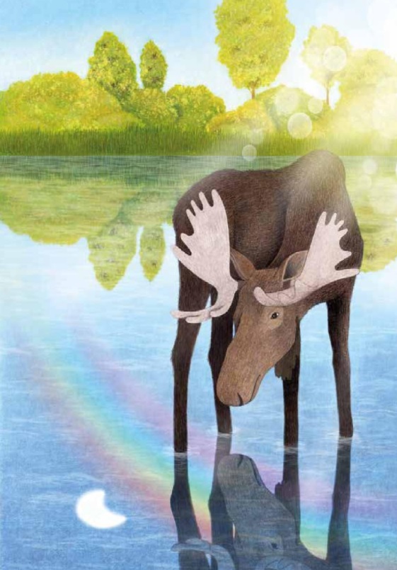 Ilustración de CONTINENTE ANIMAL