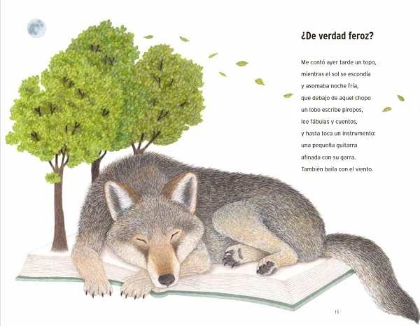 Ilustración de CONTINENTE ANIMAL
