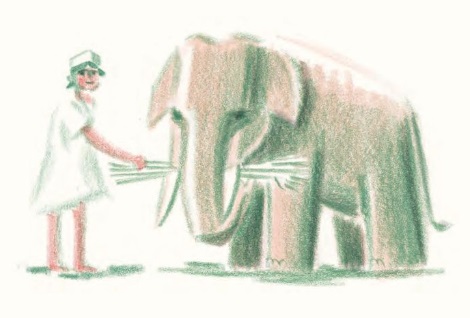 Ilustración de Bandoola. El gran rescate de los elefantes
