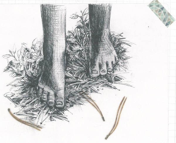 Ilustración de Diario del bosque