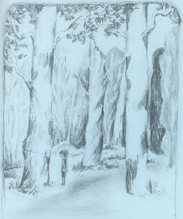 Ilustración de Diario del bosque