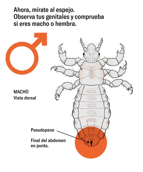 Ilustración de Manual de supervivencia para PIOJOS