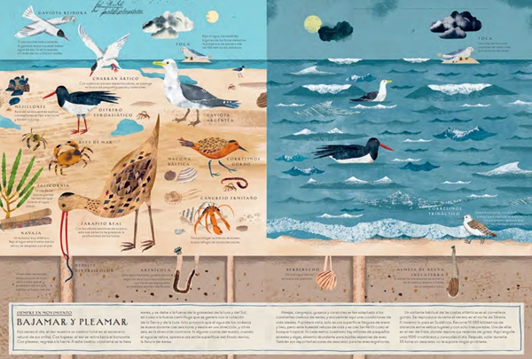 Ilustración de SIETE MARES