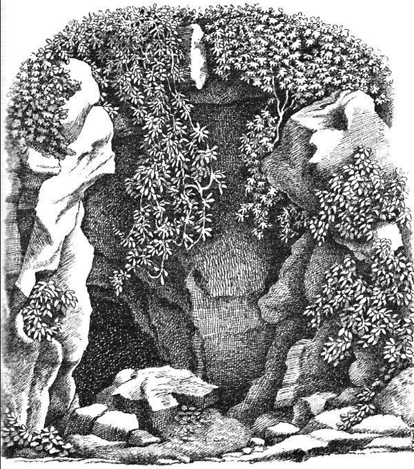 Ilustración de La familia animal