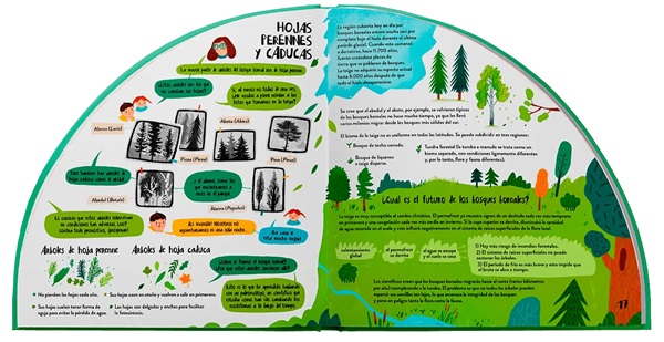 Ilustración de Explora los bosques en 360 grados