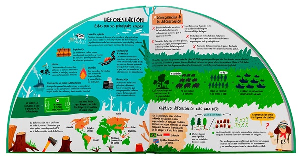 Ilustración de Explora los bosques en 360 grados
