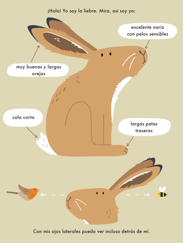 Ilustración de Yo soy la liebre