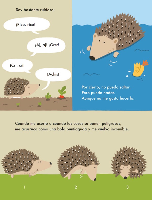 Ilustración de Yo soy el erizo