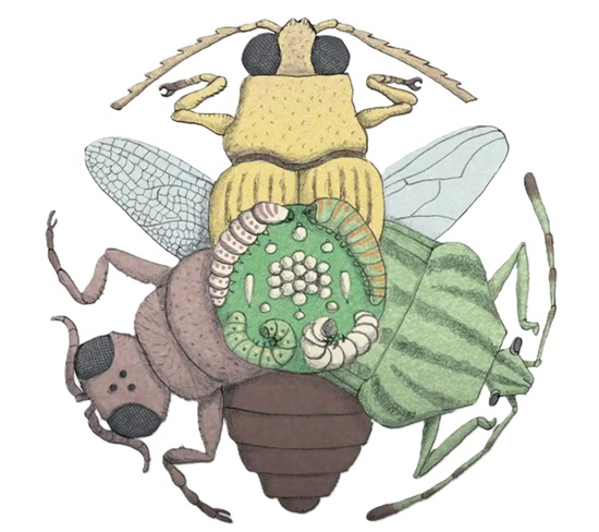 Ilustración de VIDA