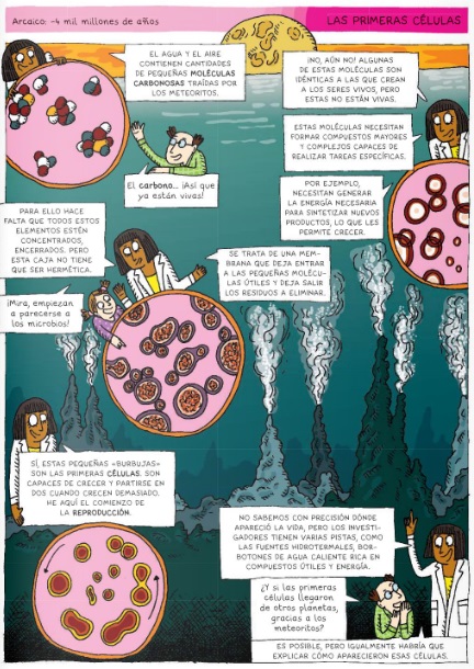 Ilustración de La evolución de la vida