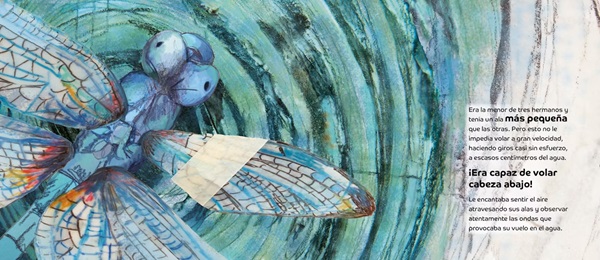 Ilustración de El vuelo de Sofía