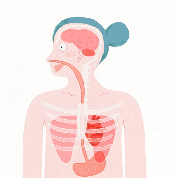 Ilustración de UN CORAZÓN