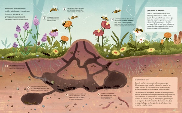 Ilustración de PLANTAS QUE HABLAN, ANIMALES QUE CANTAN