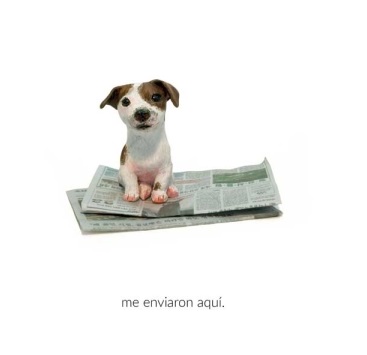 Ilustración de Soy un perro