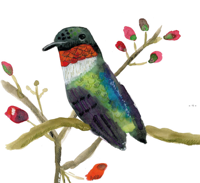 Ilustración de Aves migratorias