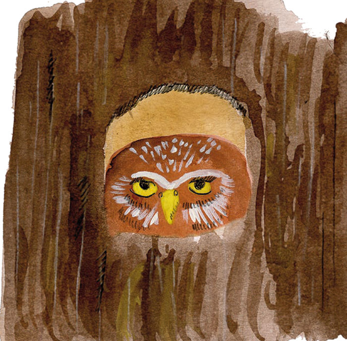 Ilustración de Aves migratorias