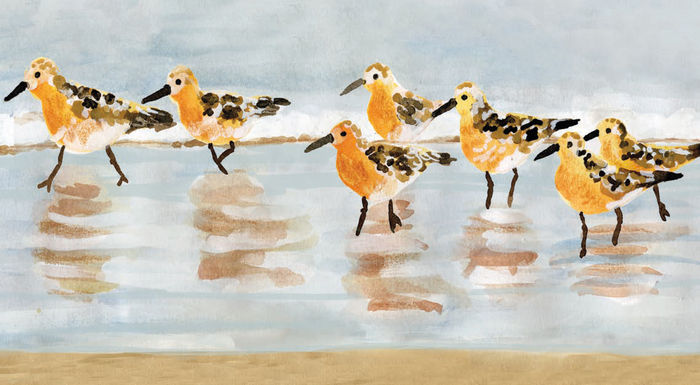 Ilustración de Aves migratorias