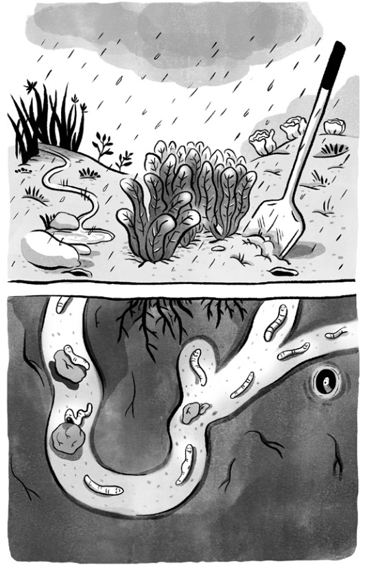 Ilustración de Lo que aprendemos de los animales