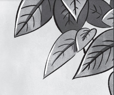 Ilustración de Lo que aprendemos de los animales