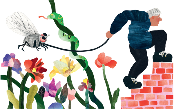 Ilustración de ¡Vamos, Kika!