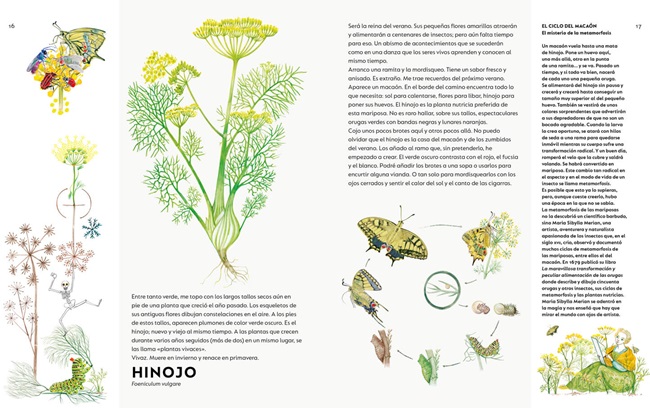 Ilustración de Un ramo de malas hierbas