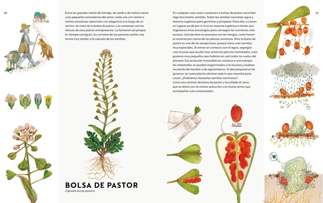 Ilustración de Un ramo de malas hierbas