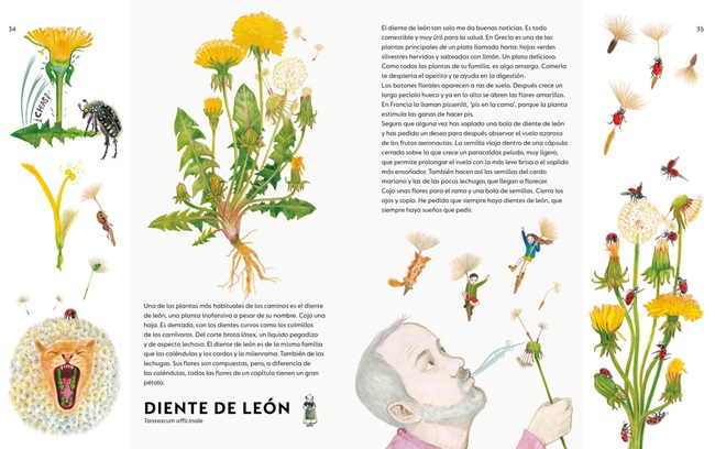 Ilustración de Un ramo de malas hierbas