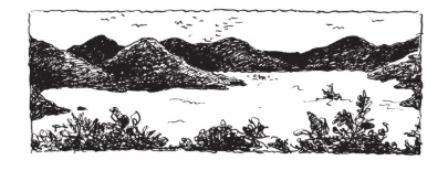 Ilustración de La maldición de la medusa gigante