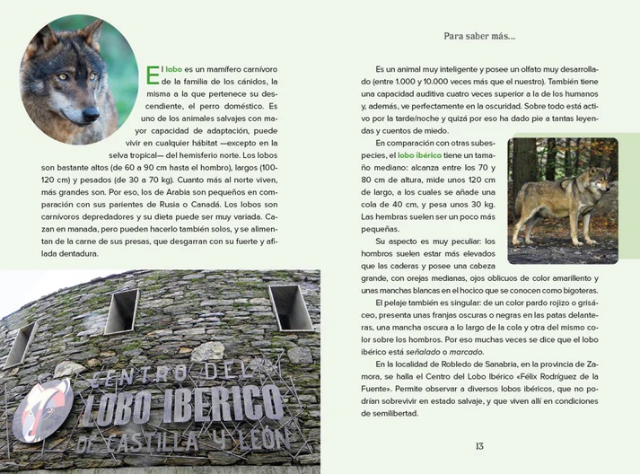 Ilustración de Félix y los Guardianes de la Fauna Ibérica