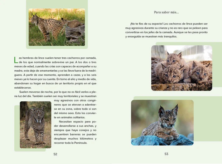 Ilustración de Félix y los Guardianes de la Fauna Ibérica
