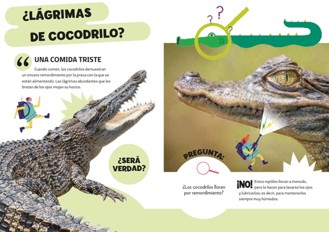 Ilustración de CAZAMITOS