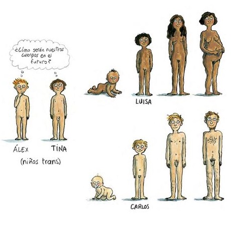 Ilustración de AnyBody