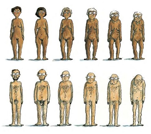 Ilustración de AnyBody