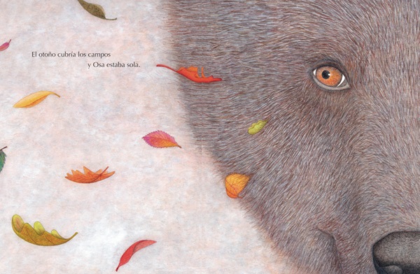 Ilustración de OSA