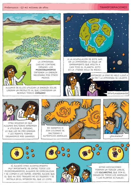 Ilustración de LA EVOLUCIÓN DEL HOMBRE