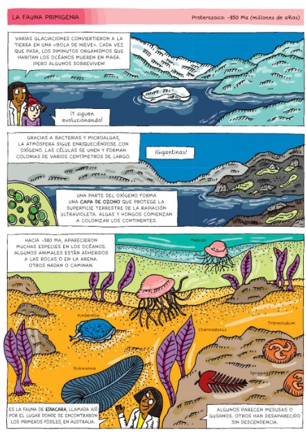 Ilustración de LA EVOLUCIÓN DEL HOMBRE