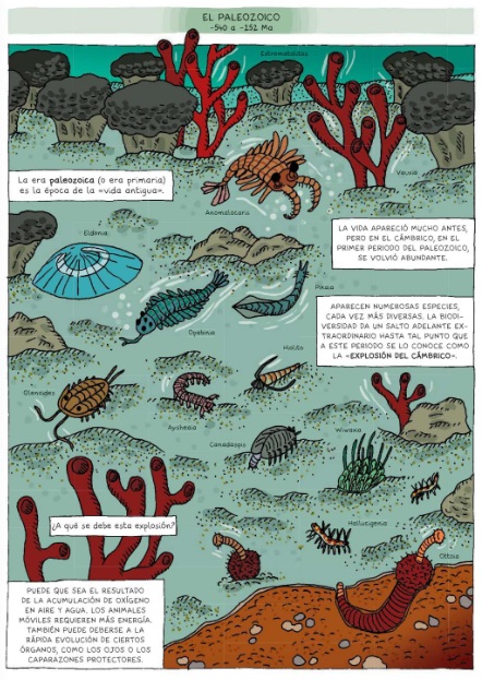 Ilustración de LA EVOLUCIÓN DEL HOMBRE
