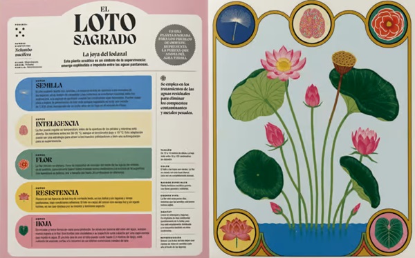 Ilustración de Superpoderes de las plantas