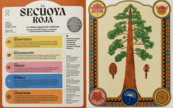 Ilustración de Superpoderes de las plantas