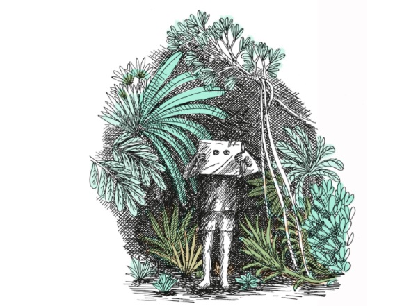 Ilustración de Panthera tigris