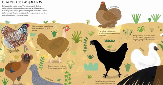 Ilustración de GALLINARIO